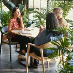 Besucherstuhl Holz Besucherstühle Massivholzstuhl Cafeteria Stuhl Holzschale Sedus se:cafe wooden chair