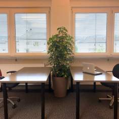 Coworking Hallein